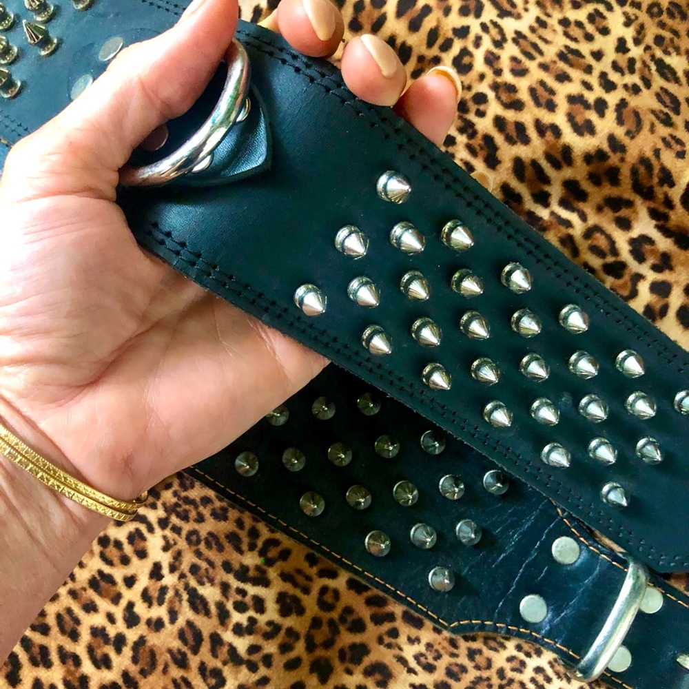 Heavy studded collars